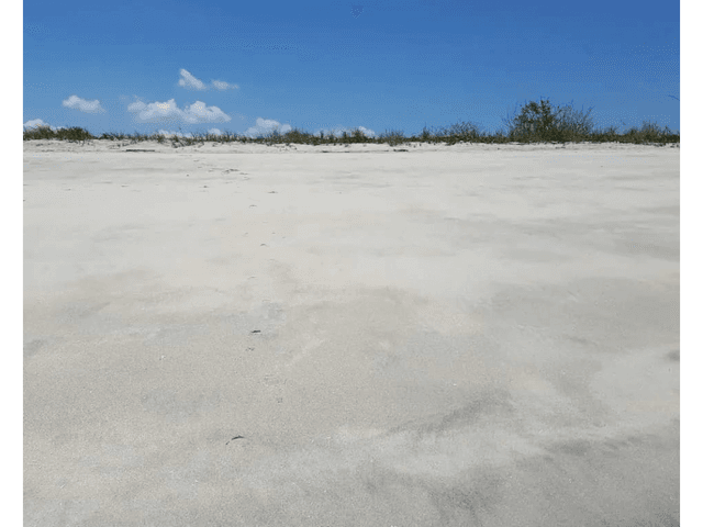 SE VENDE TERRENO CON BELLAS VISTAS 9381M EN PUNTA CHAME FRENTE AL MAR