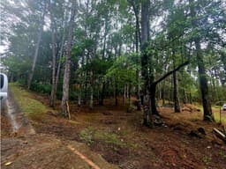 CERRO AZUL / TERRENO SEMI PLANO / 1218M / CLIMA FRIO / FRENTE A VIA