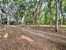 SE VENDE FINCA DE 5 HECTAREAS EN GORGONA VIA INTERAMERICANA PRINCIPAL