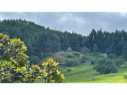 SE VENDE TERRENO EN CHAME SORA 13.9 HECTAREAS CLIMAS FRESCOS