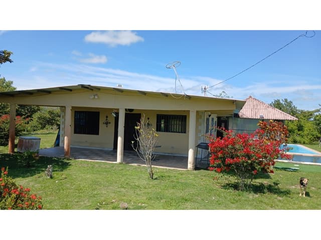 COCLE / ANTON / 19846 M2 / FINCA / CON CASA / PISCINA / ZONAS VERDES