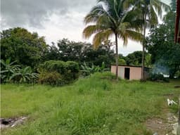 SE VENDE TERRENO EN CHAME 3200 M2 LOTE PLANO