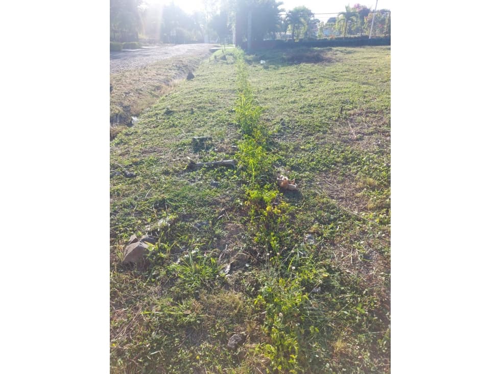 TERRENO / DENTRO DE CORONADO / AVE. BOULEVARD / 1500m2 — foto 5