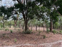 SAN CARLOS / LAS LAGARTIJAS / 250000M / GANADERIA / USO COMERCIAL AG