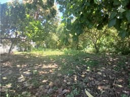 CHAME / CORONADO / TERRENO PLANO / 1000M / CERCA DE PLAYA / AG