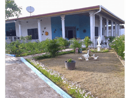 CHEPO / LA HIGUERA / 2396M2 / 4 HAB / BOHIO / BAR / PISCINA / TERRAZA