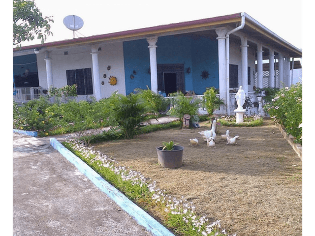 CHEPO / LA HIGUERA / 2396M2 / 4 HAB / BOHIO / BAR / PISCINA / TERRAZA