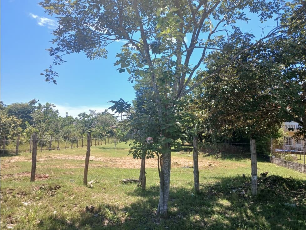 CORONADO / TERRENO / 1000M / CERCA DE PLAYA / CERCA DEL CUB DE GOLF AG — foto 6