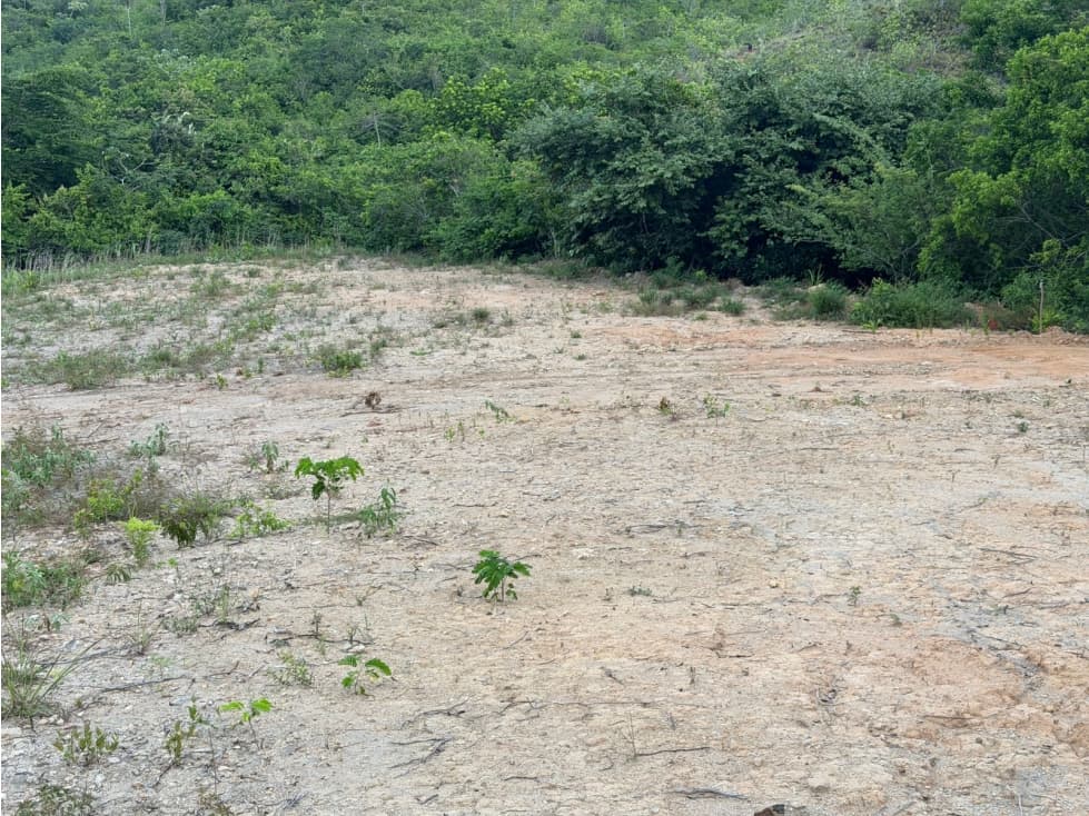 TERRENO / CHAME / 1,111 M2 / EL CALVARIO / LOTE PLANO — foto 1