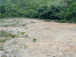TERRENO / CHAME / 1,111 M2 / EL CALVARIO / LOTE PLANO
