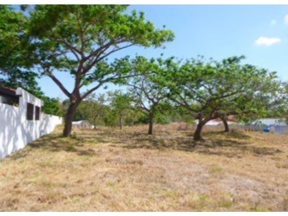 TERRENO / CORONADO / ALCAZAR PARK / 1100m2 — foto 2