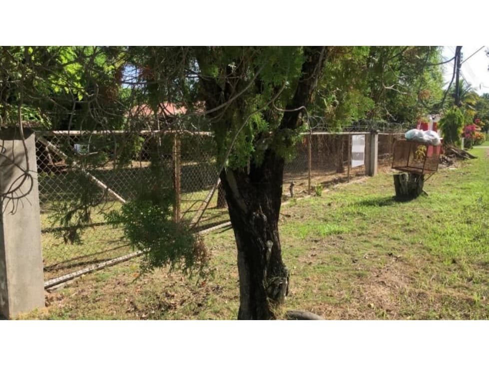 CORONADO / TERRENO A POCOS MINUTOS DE LA PLAYA / 1158M2 — foto 3