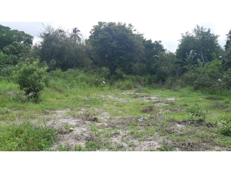 PLAYA CORONA / TERRENO / 5914M2 / CERCA DE LA PLAYA — foto 2