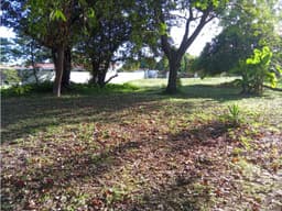 CORONADO / SECTOR LOS GUAYACANES / TERRENO CERCADO / 1300M2