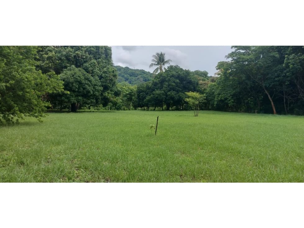TERRENO / CHAME / EL ESPAVE / 4560 M2 / TOTALMENTE PLANO — foto 2