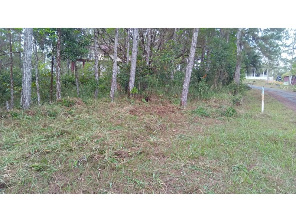 TERRENO / CERRO AZUL / 1178 M2 / CLIMA FRIO — foto 2