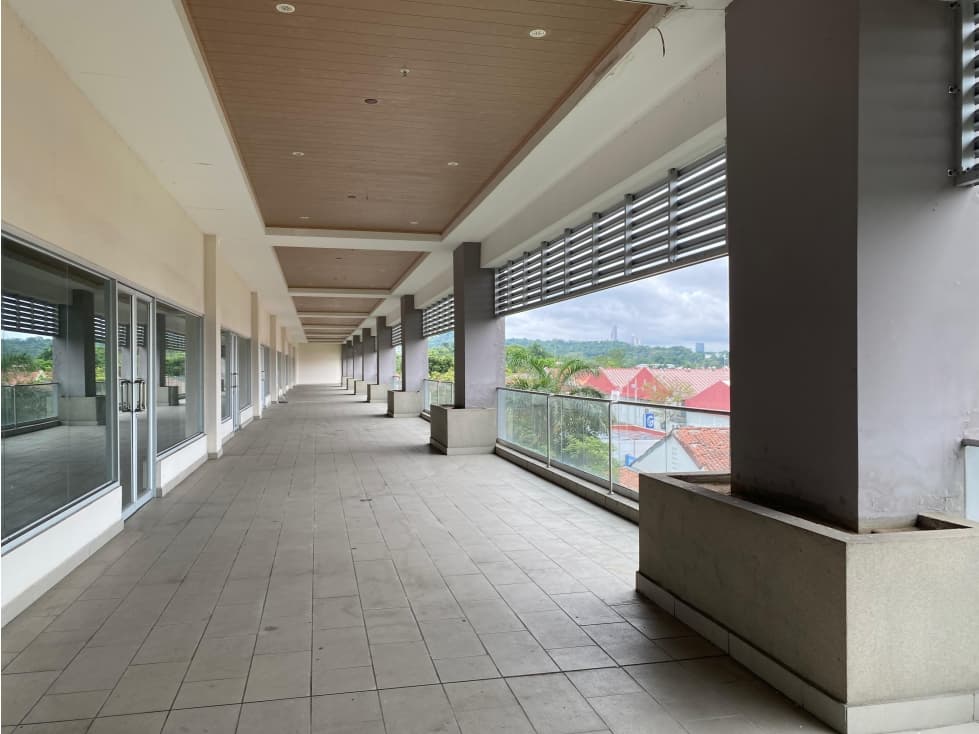 LOCAL COMERCIAL / PASEO ALBROOK / 317M / PLANTA ALTA — foto 1