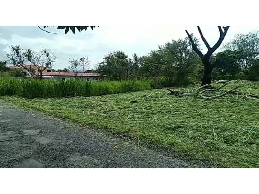 TERRENO / CHAME / GORGONA / 2000M / PLANO /JC — foto 2