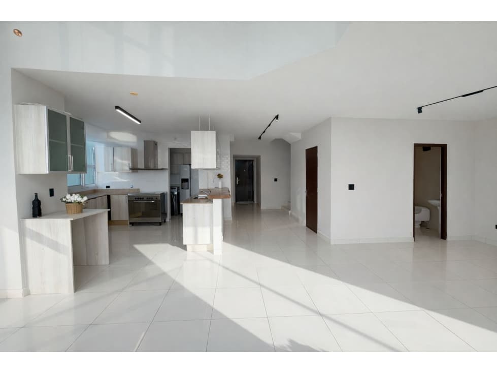 VENTA DE APARTAMENTO LUXURY PH PARK LOFT EN SAN FRANCISCO — foto 6