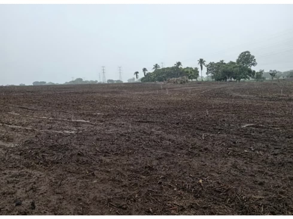 FINCA / COCLE / ANTON / 5.5 HECTAREAS / CON POZO — foto 2
