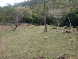 TERRENO / CHAME / CHICA / 2165 M2 / VIA ASFALTADA / CLIMAS FRESCOS