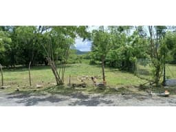 TERRENO / GORGONA / PLAYA MALIBU / 1000 M2 / PLANO / CLIMAS FRESCOS