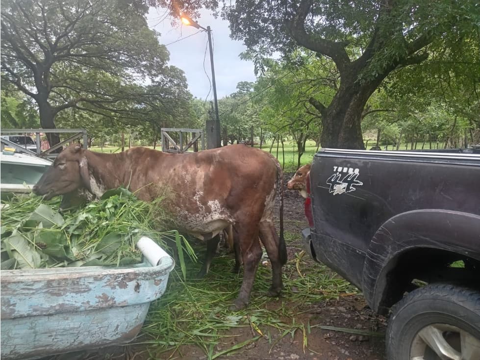 CHAME / EL ESPAVE / 3 HECTAREAS / AMPLIO TERRENO / ZONAS VERDES — foto 2