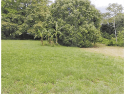 CHAME / BEJUCO / 1572 M2 / TERRENO PLANO / ZONAS VERDES / AMPLIO