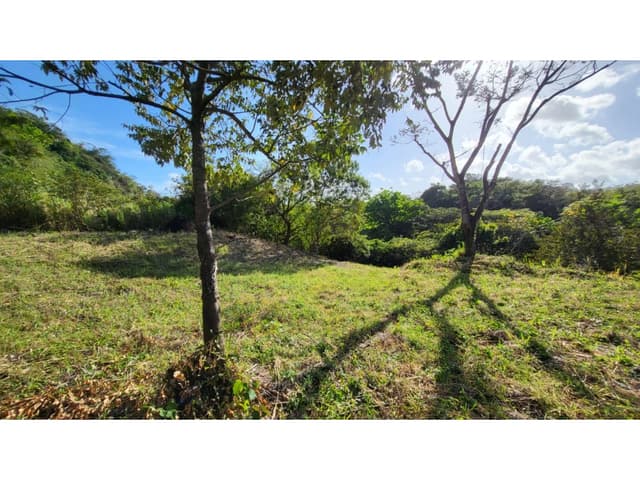SAN CARLOS / VIA A LA LAGUNA / 4754 M2 / ZONAS VERDES / 2 LOTES