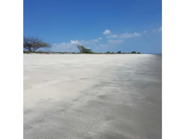 PUNTA CHAME / 9,381 M2 / TERRENO / FRENTE AL MAR / VISTAS A LA PLAYA