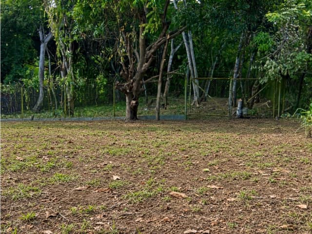 SAN CARLOS / LAS UVAS / 600 M2 / TERRENO PLANO / SOBRE VIA PRINCIPAL