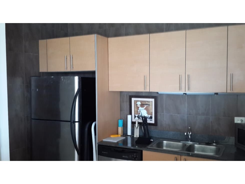 PLAYA BLANCA / PH FOUNDERS / AMOBLADO / 134m2 / 2 HABITACIONES — foto 5