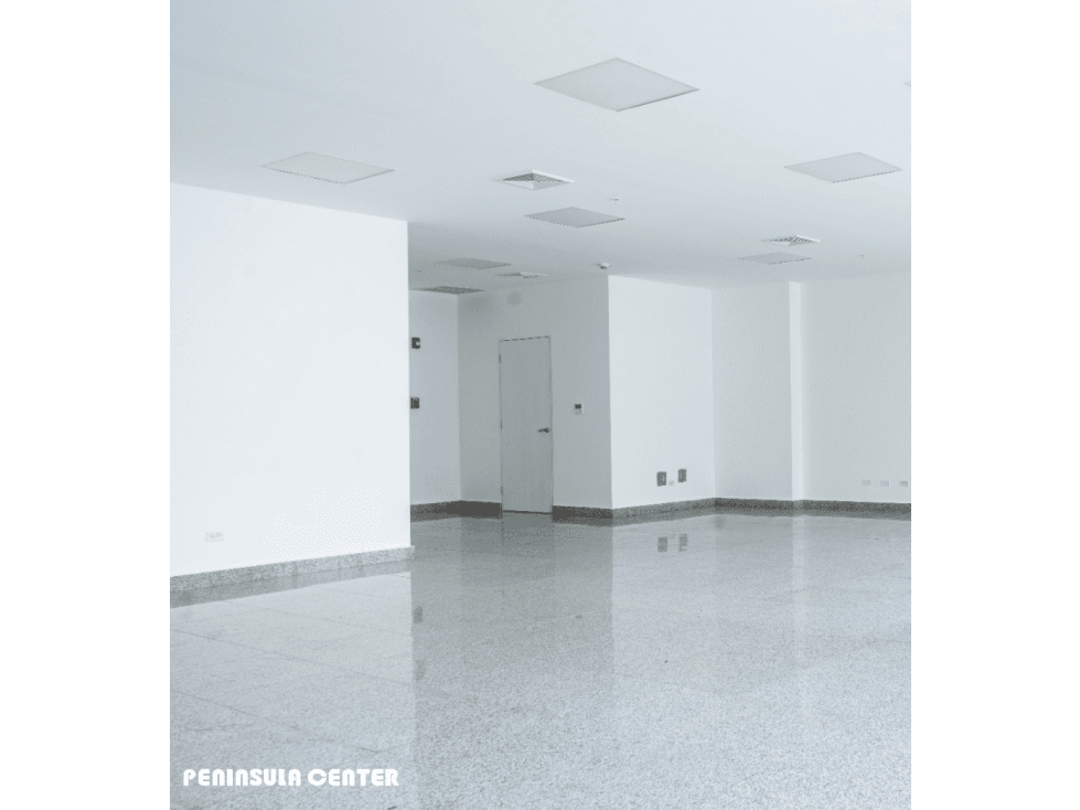 PENINSULA CENTER / COSTA DEL ESTE / 90 M / 2 PARKING / VACIA — foto 4