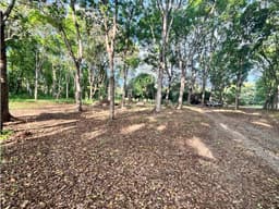 SE VENDE TERRENO DE 5 HECTAREAS EN GORGONA INTERAMERICANA PRINCIPAL