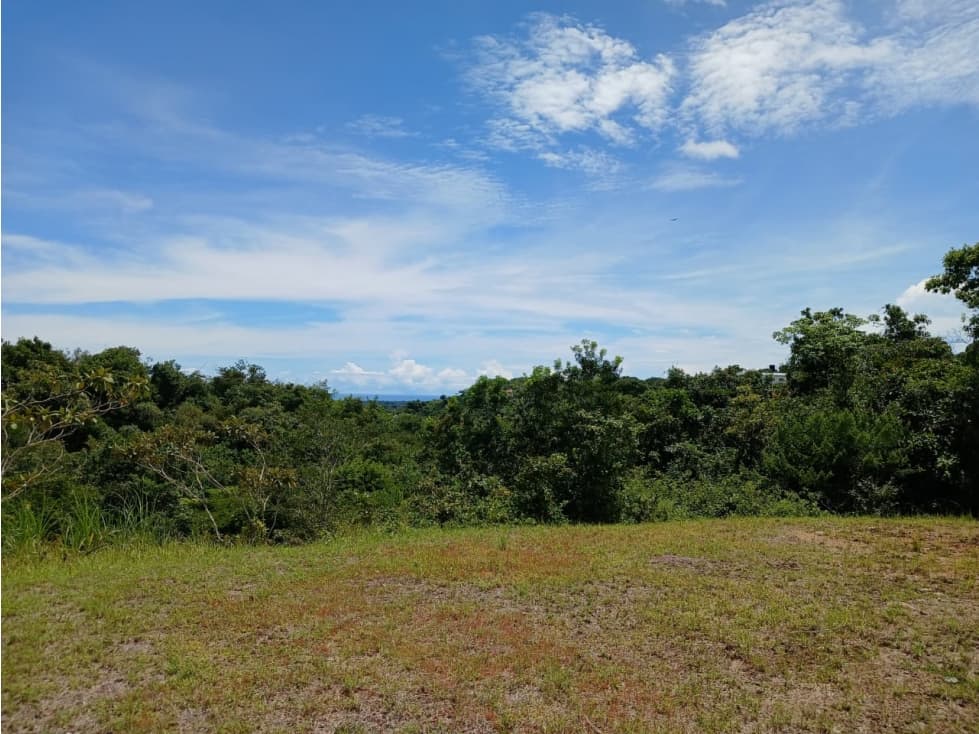 SAN CARLOS / EL COPECITO / 4300 M2 / TERRENO / VISTAS PANORAMICAS — foto 3