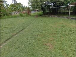 TERRENO / GORGONA / 600 M2 / CLIMAS FRESCOS / CERCA DE LA PLAYA