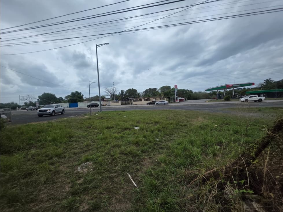 CHAME / COLONCITO / 719M / TERRENO PLANO / VIA INTERAMERICANA — foto 1