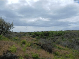 CHAME / LAS LAJAS / 3.03 HECTAREAS / TERRENO / ZONAS VERDES / RIO