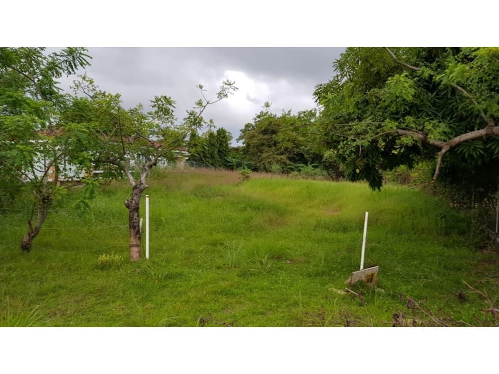 TERRENO / CORONADO / AVE. BOULEVARD / 1000m2 / NEGOCIABLE — foto 2