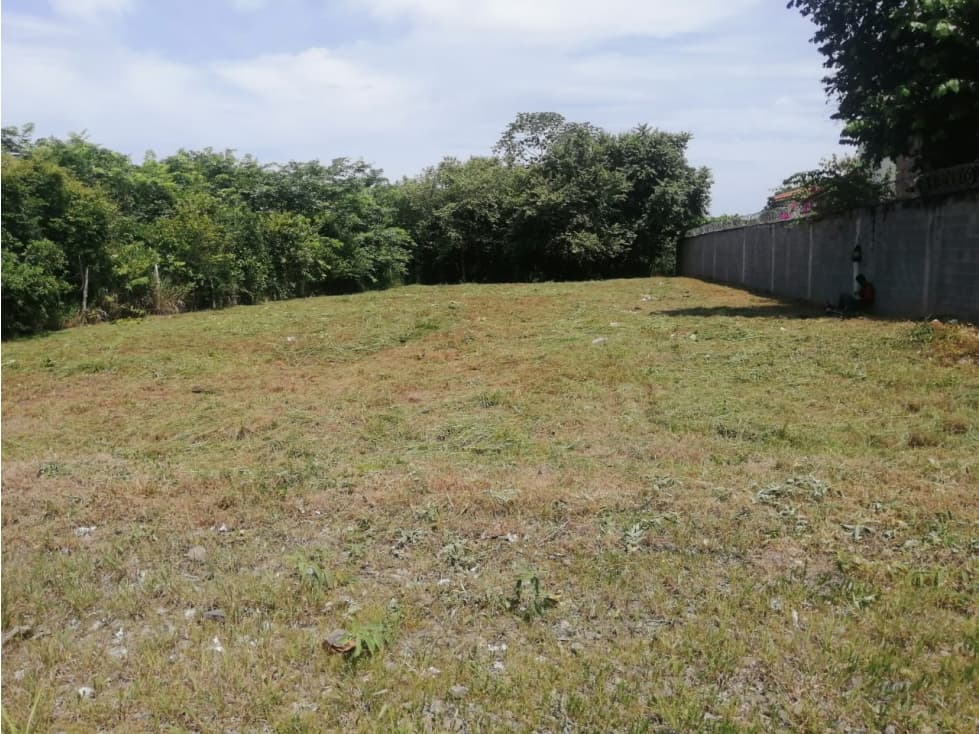 CORONADO / TERRENO PLANO / 1140M2 / CALLE BOULEVARD — foto 3