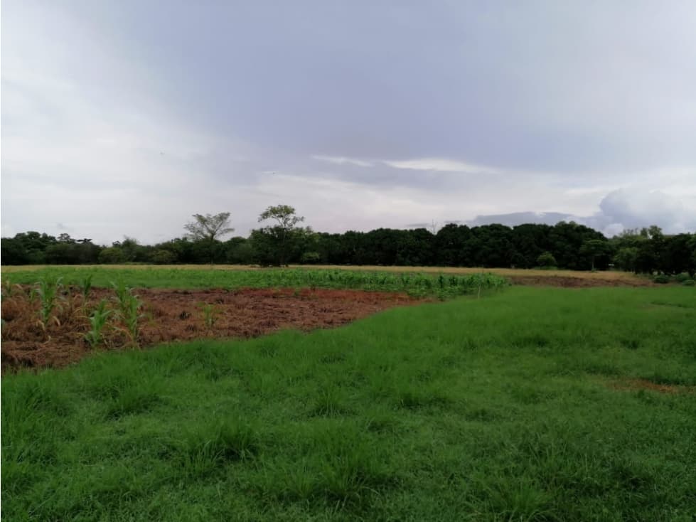 TERRENO / CORONADO BOULEVARD / 3 FINCAS / CERCA DEL MAR — foto 4