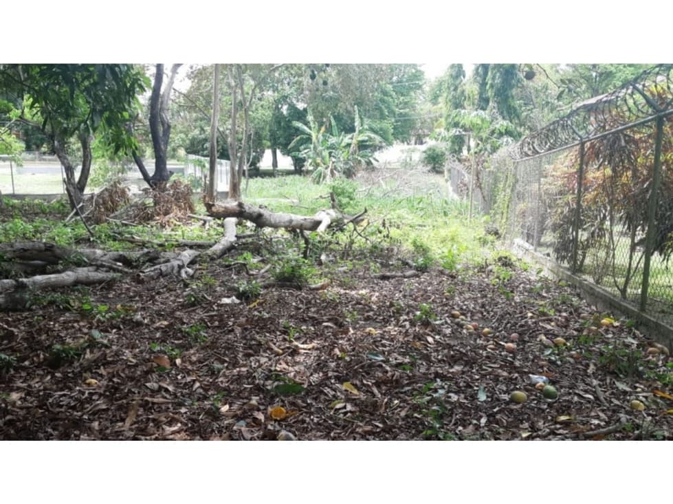 PLAYA CORONA / TERRENO / 5914M2 / CERCA DE LA PLAYA — foto 3