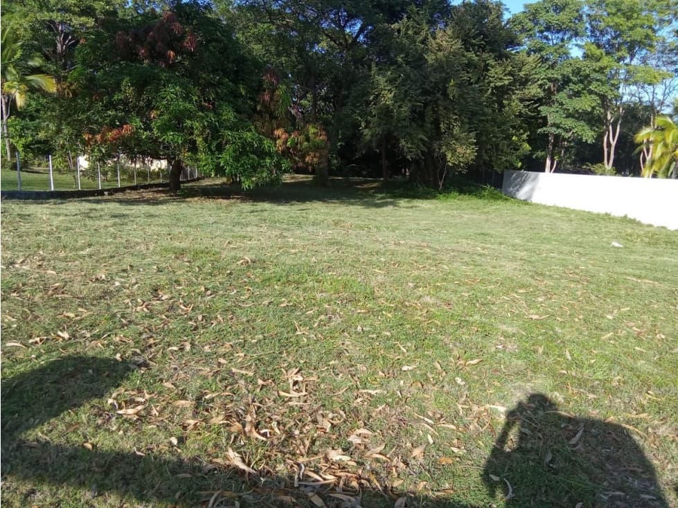 CORONADO / SECTOR LOS GUAYACANES / TERRENO CERCADO / 1300M2 — foto 3