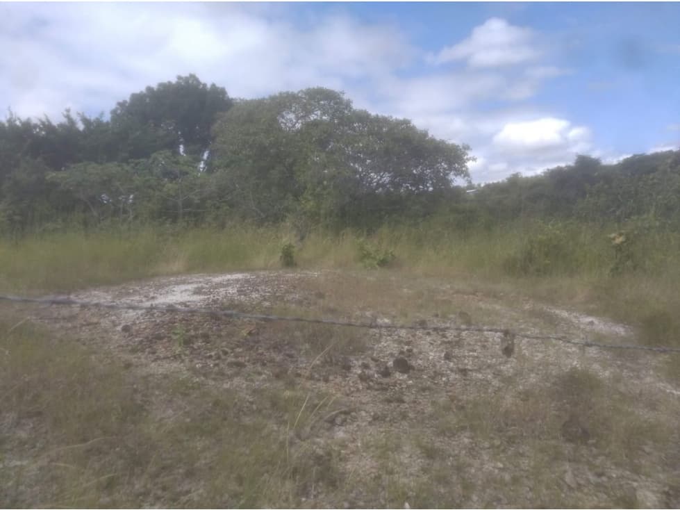 TERRENO / SAN CARLOS / EL NANCE / 7000M2 / ACCESO AL RIO — foto 5