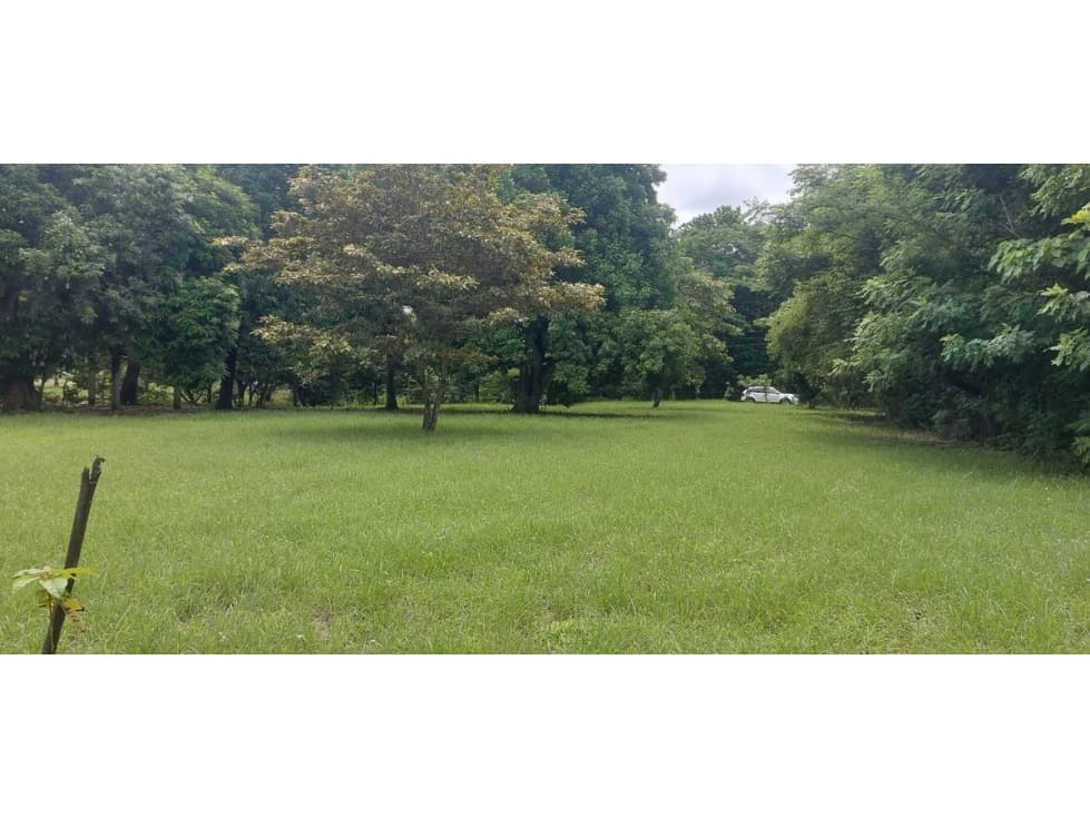 TERRENO / CHAME / EL ESPAVE / 4560 M2 / TOTALMENTE PLANO — foto 3