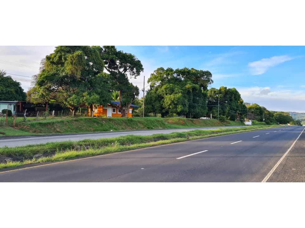 TERRENO COMERCIAL / SAJALICES / 10,000M2 / VIA INTERAMERICANA — foto 3