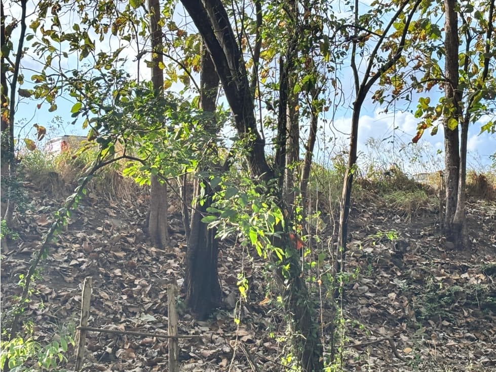 FINCA / GORGONA / 5 HECTAREA / INTERAMERICANA PRINCIPAL / CERCA AL MAR — foto 5