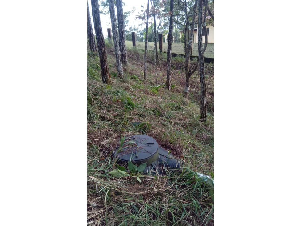 TERRENO / CERRO AZUL / 1178 M2 / CLIMA FRIO — foto 3