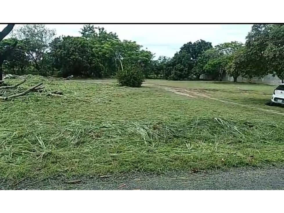 TERRENO / CHAME / GORGONA / 2000M / PLANO /JC — foto 3