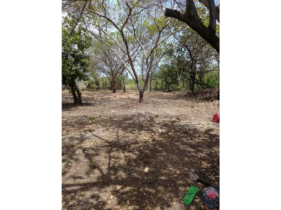 CHAME / CORONADO / TERRENO PLANO / 1000M / CERCA DE PLAYA / AG — foto 4
